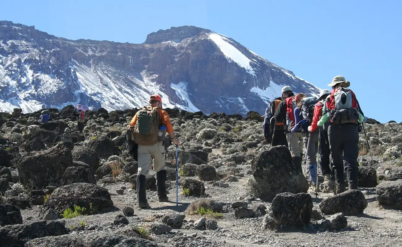 6 Days Kilimanjaro Climb Shira Route