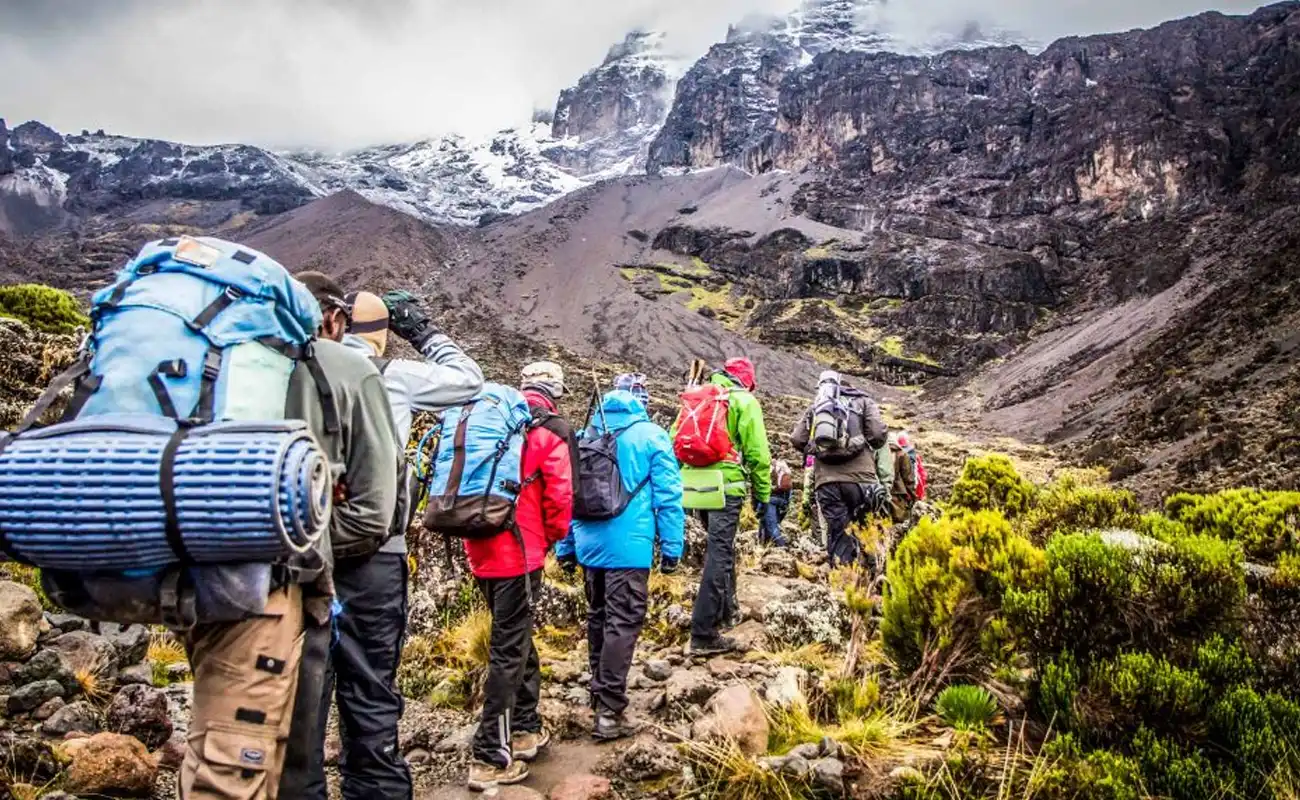 6 Days Rongai Route Kilimanjaro Climb