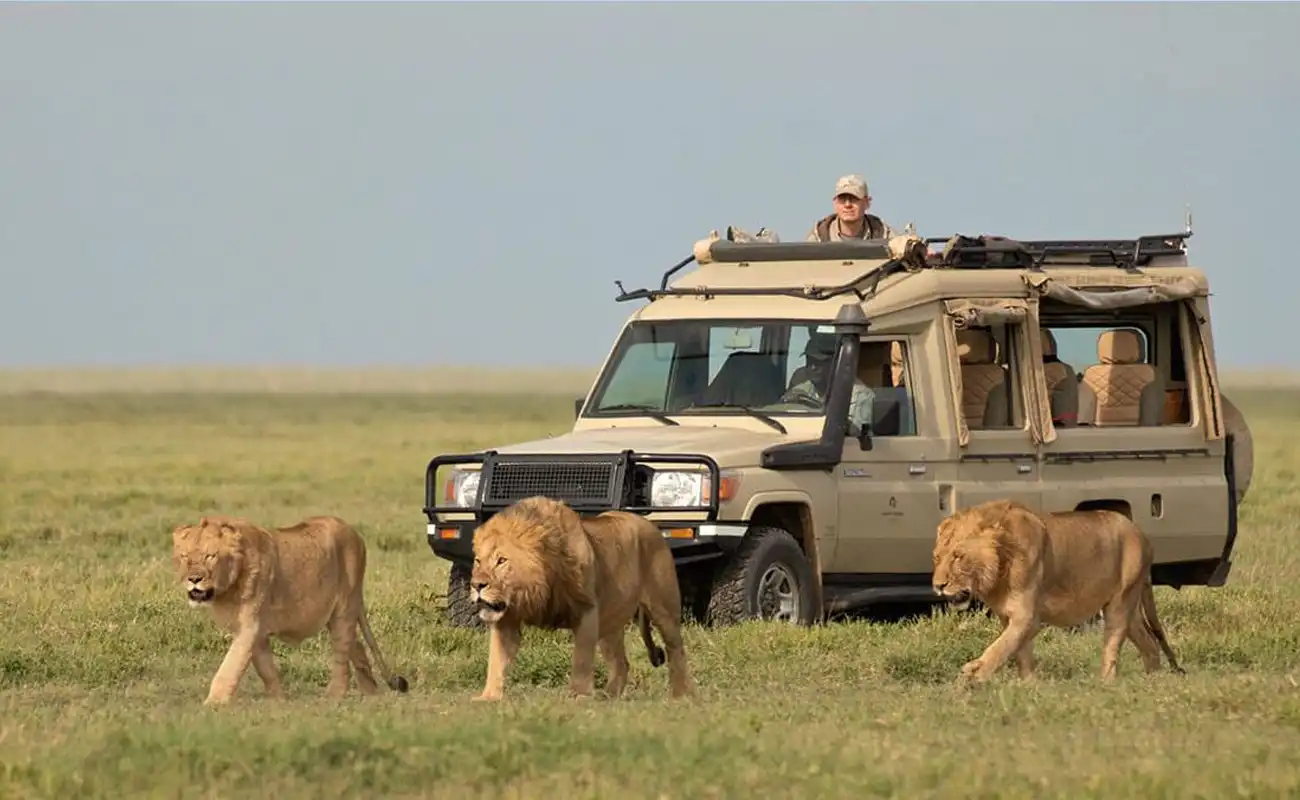 6 Days Tanzania Classic Safari