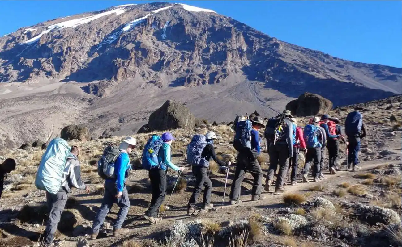 7 Days Rongai Route Kilimanjaro Climbing