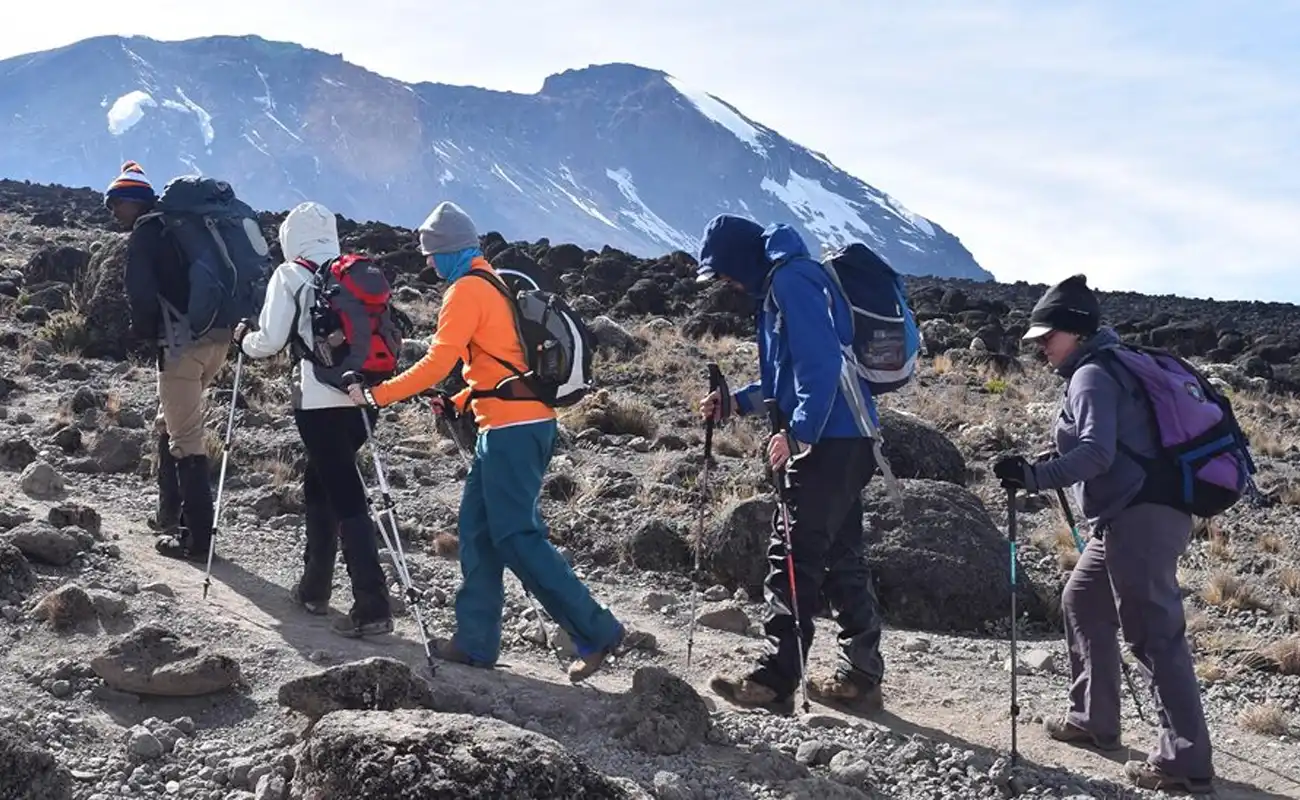 8 Days Lemosho Route Kilimanjaro Climb