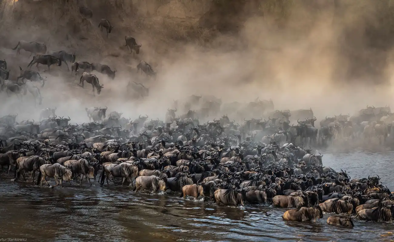 9 Days Wildebeest River Crossing Safari