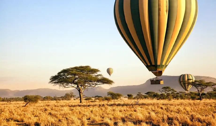 Tanzania Balloon Safari With 2brothers