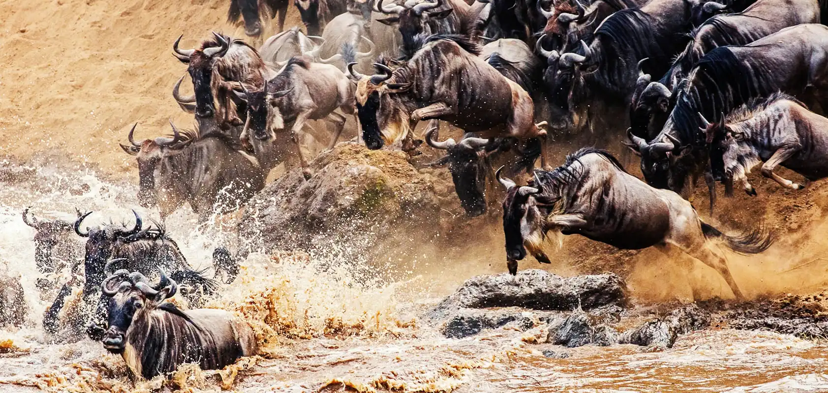 Serengeti Great Wildebeest Migration Safari With 2Brothers Tanzania