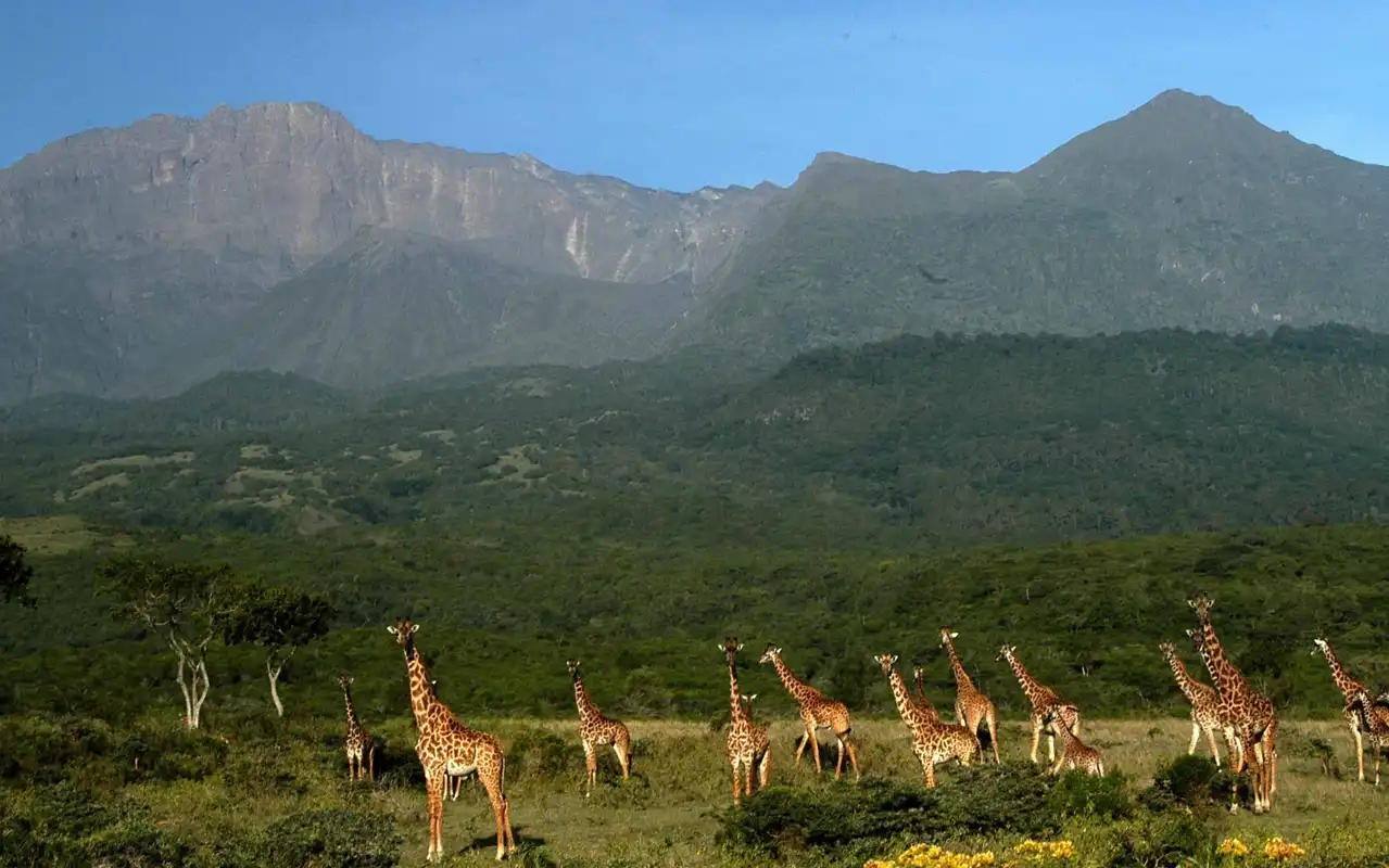 Arusha National Park Day Trip