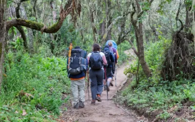 Kilimanjaro Climb Day Trip – Shira Plateau