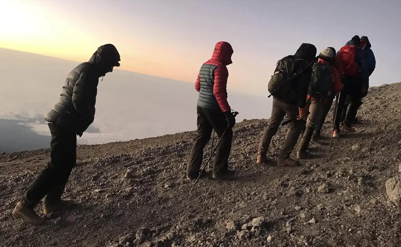 Kilimanjaro Guide