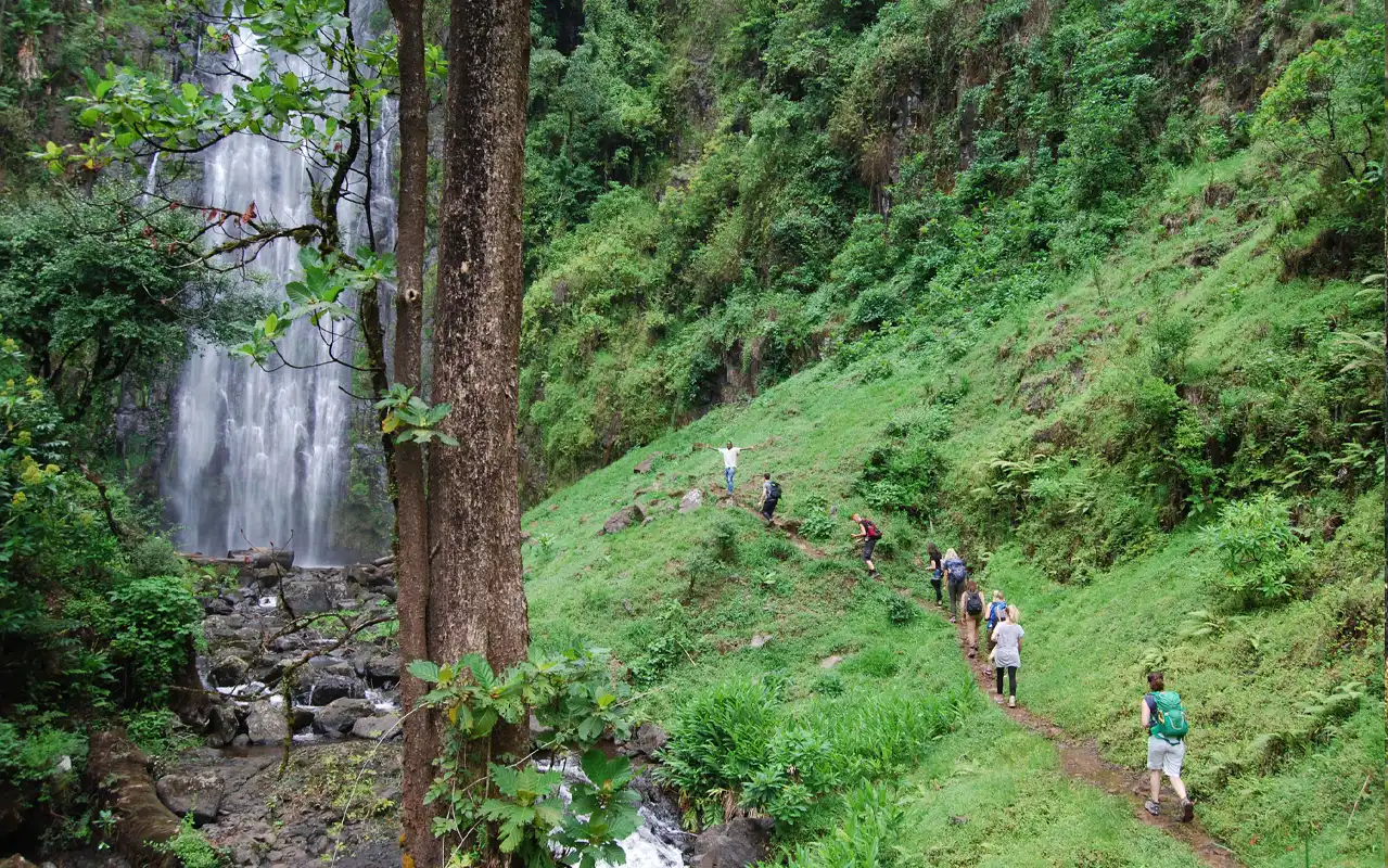 Materuni Waterfall and Coffee