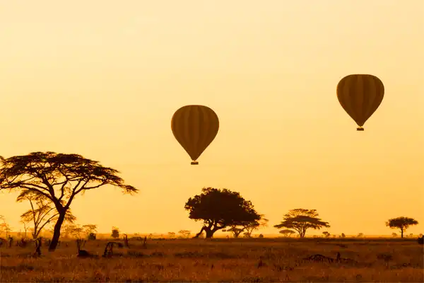 Serenengeti National Park