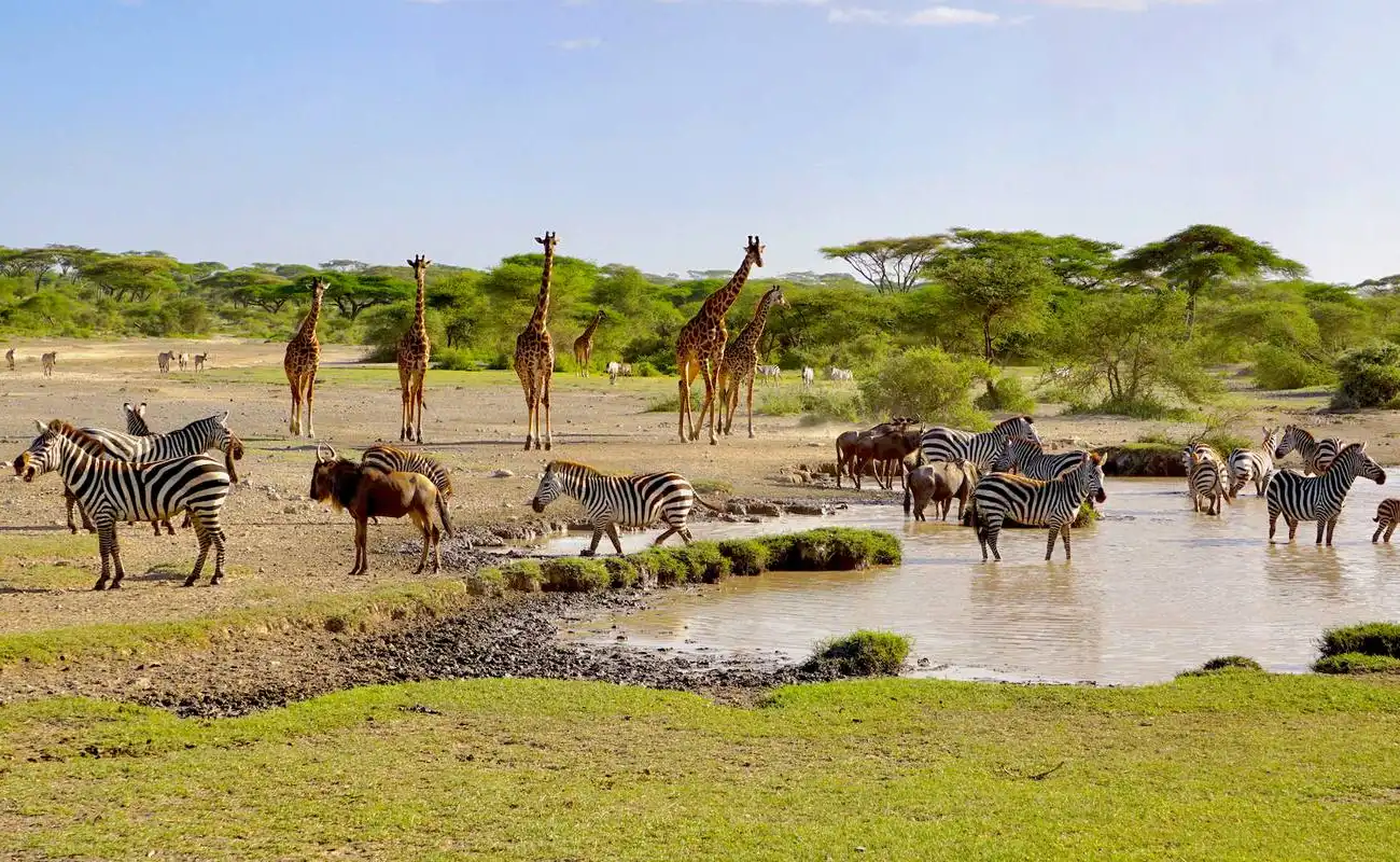 Tanzania Safari Destinations