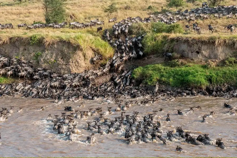 The Crossing of Treacherous Rivers