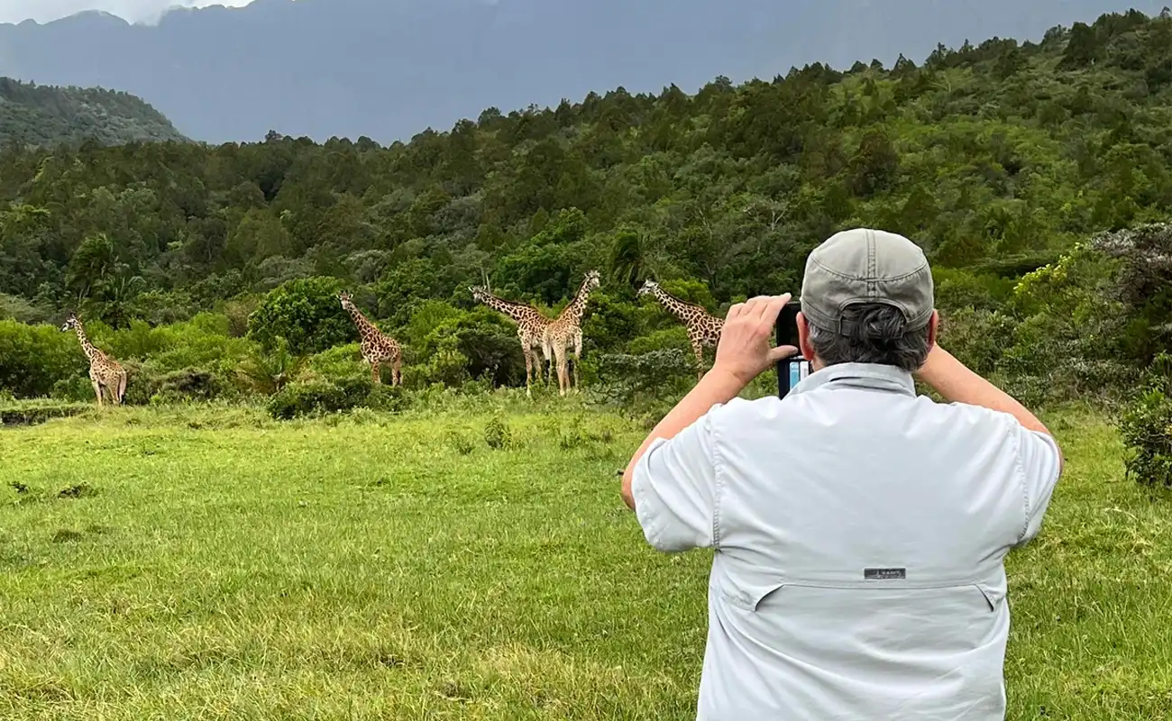 Things to do in Arusha National Park