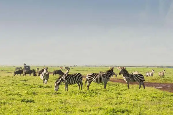 ngorongoro conservation area