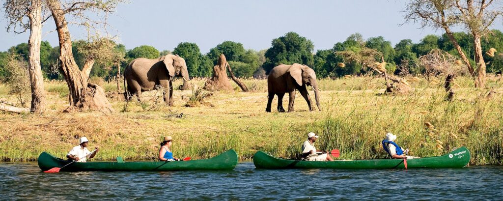 Canoe Safaris