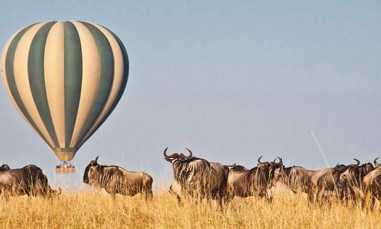 Must-Try Safari Activities in Tanzania | Unforgettable Adventures Await!