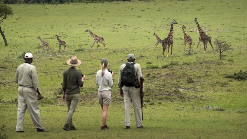 Must-Try Safari Activities in Tanzania | Unforgettable Adventures Await!