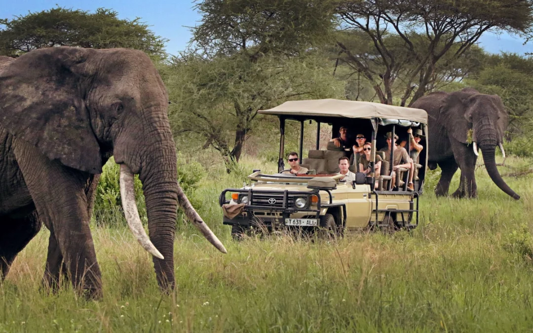 Must-Try Safari Activities in Tanzania