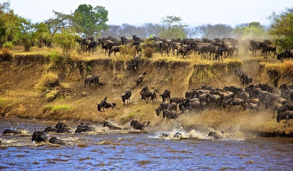 Must-Try Safari Activities in Tanzania | Unforgettable Adventures Await!