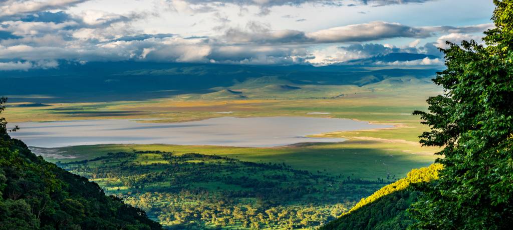 Must-Try Safari Activities in Tanzania | Unforgettable Adventures Await!